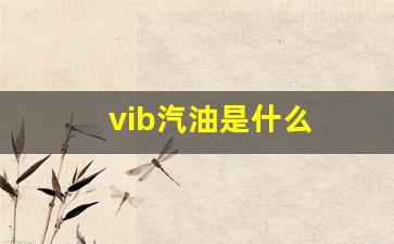 vib汽油是什么缩写_vib汽油是什么