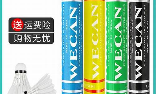 羽毛球营销方案案例范文_wecan羽毛球销售