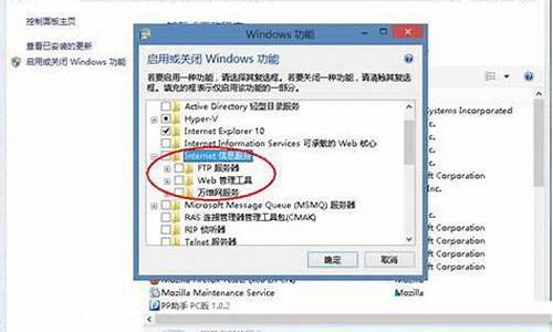 win8安装iis服务器_win2008装iis