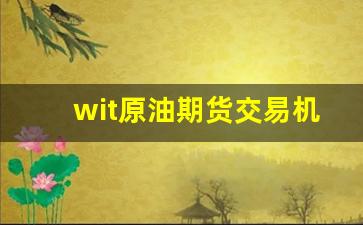 wit原油期货交易机制(国际原油期货交易时间)_https://www.xzdzcjn.com_科创板_第1张