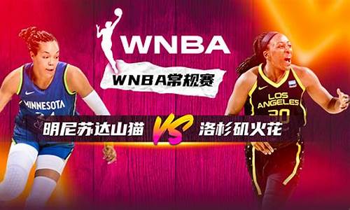 wnba天猫vs火花预测-wnba天猫vs火花