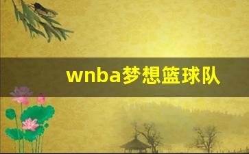wnba梦想篮球队-梦想篮球世界