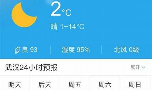 五武汉天气预报15天_wu武汉天气