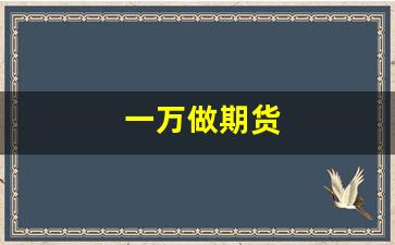 一万做期货(一万做期货一年赚三千二百是真是假)_https://www.xzdzchf.com_创业板_第15张