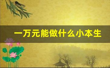一万元能做什么小本生意(一万元可以做什么小本生意呢)_https://www.qldgs.com_国际期货_第1张