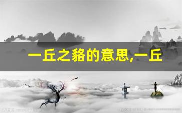 一丘之貉的意思,一丘之貉的近义词反义词,一丘之貉造句例句,一丘之貉出处及解释-第1张图片-我的生活随想