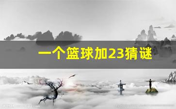 1个篮球-一个篮球加23猜谜