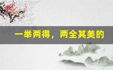 一举两得，两全其美的意思,一举两得，两全其美的近义词反义词,一举两得，两全其美造句例句,一举两得，两全其美出处及解释-第1张图片-我的生活随想
