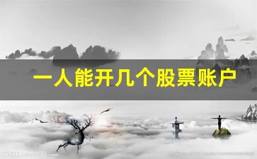 一人能开几个股票账户(一人可以开2个股票账户吗)_https://www.eamstsz.com_创业板_第1张