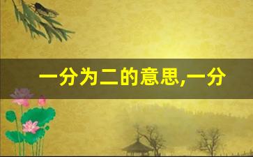 一分为二的意思,一分为二的近义词反义词,一分为二造句例句,一分为二出处及解释-第1张图片-我的生活随想