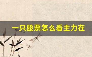一只股票怎么看主力在不在(一只股票如何看主力在不在)_https://www.hangfeite.com_北交所_第1张