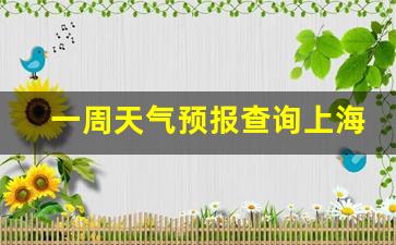 一周天气预报查询上海天气信息情况_上海天气预报一周7天详情