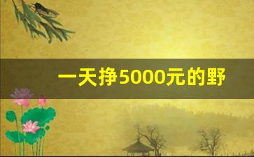 一天挣5000元的野路子(一天挣5000元的野路子得联系方式)_https://www.huakunhengjia.com_期货资讯_第1张