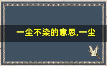 一尘不染的意思,一尘不染的近义词反义词,一尘不染造句例句,一尘不染出处及解释-第1张图片-我的生活随想
