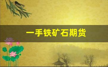 一手铁矿石期货(一手铁矿石期货跌停亏多少钱)_https://www.heiljjianzu.com_北交所_第1张