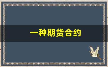 一种期货合约(一份期货合约)_https://www.fzdzcxj.com_深交所_第1张