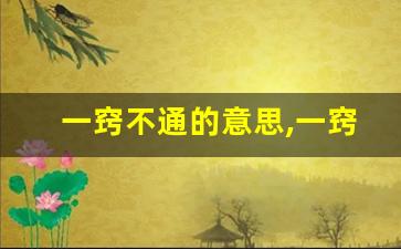 一窍不通的意思,一窍不通的近义词反义词,一窍不通造句例句,一窍不通出处及解释-第1张图片-我的生活随想