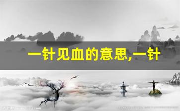 一针见血的意思,一针见血的近义词反义词,一针见血造句例句,一针见血出处及解释-第1张图片-我的生活随想