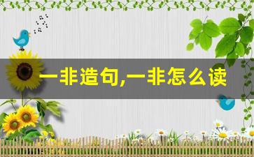 一非造句,一非怎么读,一非的意思,一非的组词-第1张图片-我的生活随想