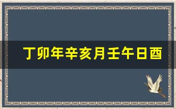 丁卯年辛亥月壬午日酉时生女