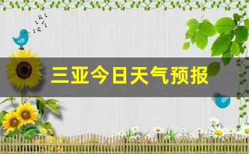 三亚今日天气预报15天查询_三亚今日天气预报