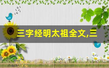 三字经明太祖全文,三字经明太祖讲了什么,三字经明太祖经典句子-第1张图片-我的生活随想