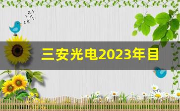 三安光电2023年目标价(三安光电未来走势)_https://www.ljyuan-tech.com_北交所_第1张