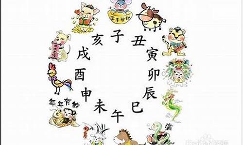 三班六房代表什么生肖-三班六房打一数字