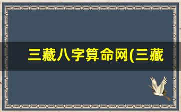 三藏八字算命网(三藏八字算命免费测八字)