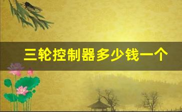 三轮控制器多少钱一个(三轮车控制器工作原理)_https://www.haiwangdasha.com_广期所_第1张