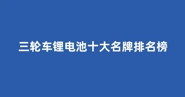 三轮车锂电池十大名牌排名榜(三轮车锂电池十大名牌排名榜最新)_https://www.taocizhiliang.com_装修流程_第1张
