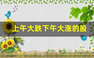 上午大跌下午大涨的股票(下午大跌次日买意思)_https://www.brunchezvous.com_旅游景点_第1张