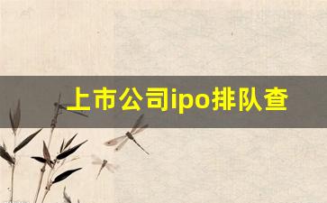 上市公司ipo排队查询(上市公司ipo排队查询 汽车街)_https://www.shshucaipeisong.com_上交所_第1张