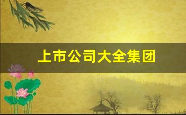 上市公司大全集团(上市集团排名)_https://www.syklpowerbike.com_科创板_第1张