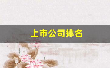 上市公司排名(新能源上市公司排名)_https://www.tuogunzhijia.com_黄金期货_第1张