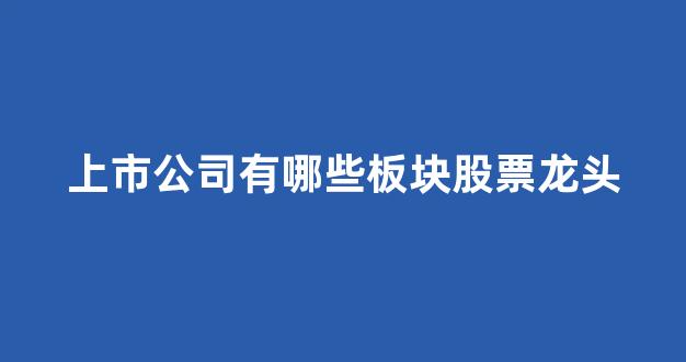 上市公司有哪些板块股票龙头(上市公司的行业龙头)_https://www.wguangz.com_郑商所_第1张