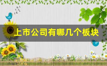 上市公司有哪几个板块(上市公司有哪几个板块名称)_https://www.wguangz.com_郑商所_第1张