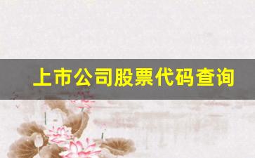 上市公司股票代码查询(香港上市公司股票代码查询)_https://www.heiljjianzu.com_深交所_第1张