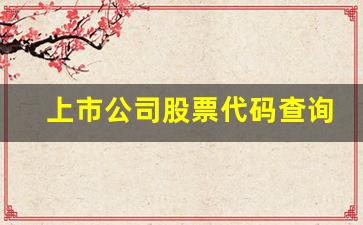 上市公司股票代码查询一览表(上市公司股票代码查询一览表官网)_https://www.gdbxwh.com_天猫运营_第1张