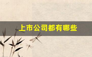 上市公司都有哪些(上市公司都有哪些部门)_https://www.eamstsz.com_上交所_第1张