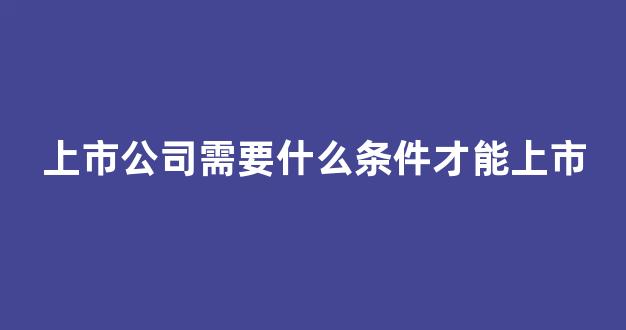 上市公司需要什么条件才能上市(上市公司需要什么条件才能上市员工几个月转正)_https://www.hn-life.com_创业板_第1张