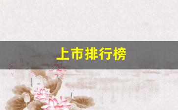上市排行榜(上市公司排行榜2020)_https://www.erdeww.com_期货_第1张