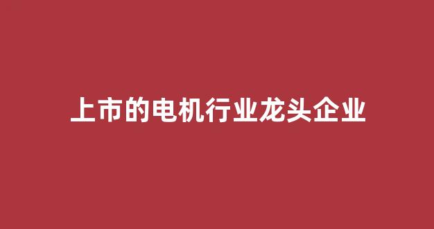 上市的电机行业龙头企业(上市的电机行业龙头企业排名)_https://www.taocizhiliang.com_效果图_第1张