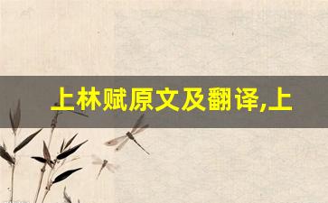 上林赋原文及翻译,上林赋全文,上林赋翻译,上林赋全诗解析-第1张图片-我的生活随想