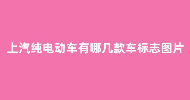 上汽纯电动车有哪几款车标志图片(上汽集团的纯电动汽车品牌)_https://www.nalian8.com_上交所_第1张
