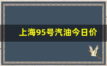 上海95号汽油今日油价_上海95号汽油今日价格查询