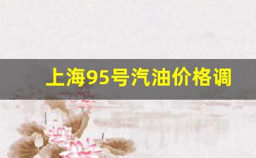 上海95号汽油多少钱一公升-上海95号汽
