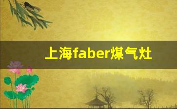 上海煤气灶维修电话-上海faber煤气灶维修