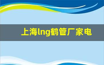 上海lng鹤管厂家电话(上海国际液化天然气(lng)技术装备展览会)(1)