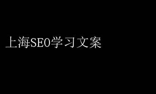 上海seo顾问推推蛙_seo上海推广公司